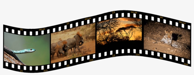 Photo Competition - - Slide Film Png, transparent png #2197102