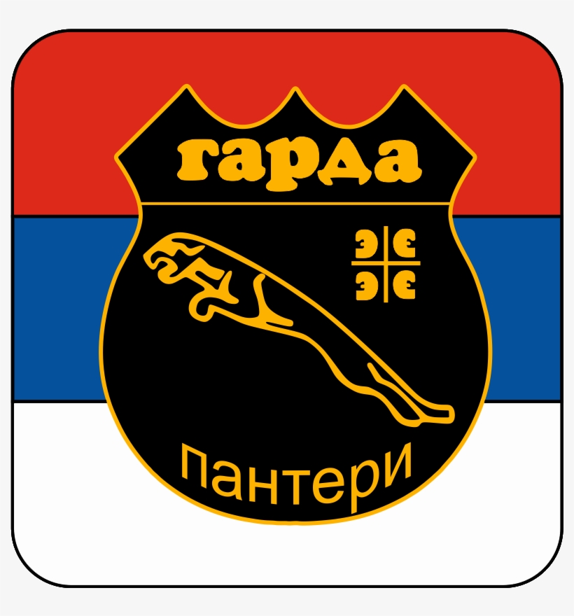 Fichier - Panthers, transparent png #2197505