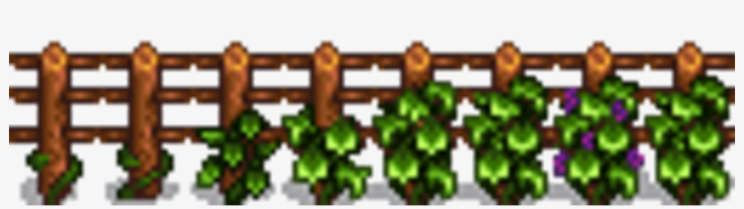 Grapes G - Grape Starter Stardew Valley, transparent png #2198217