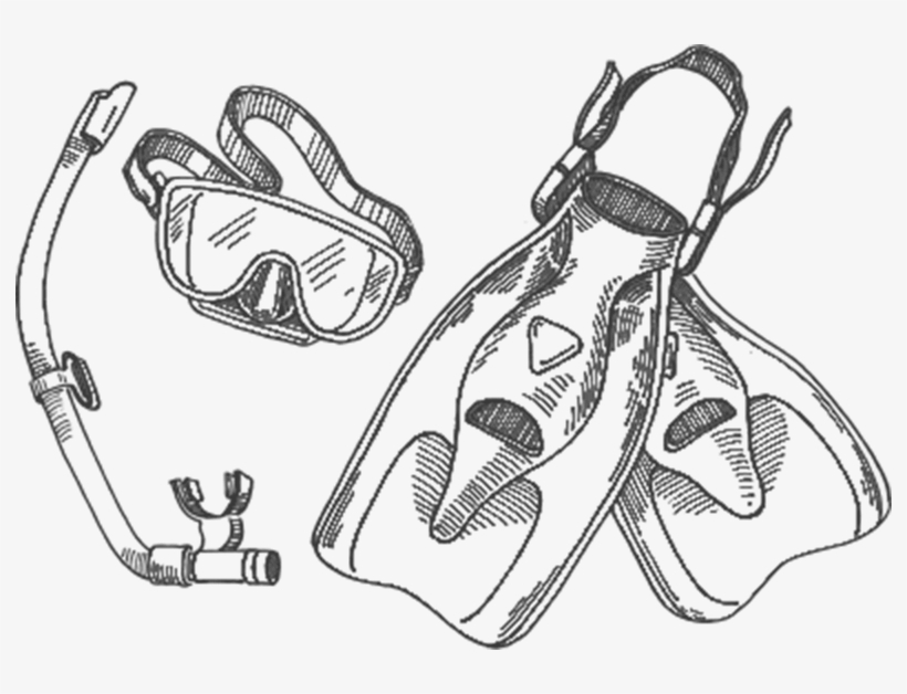 Snorkel Drawing Snorkeling Gear Png Royalty Free Download - Diving Mask, transparent png #2198248