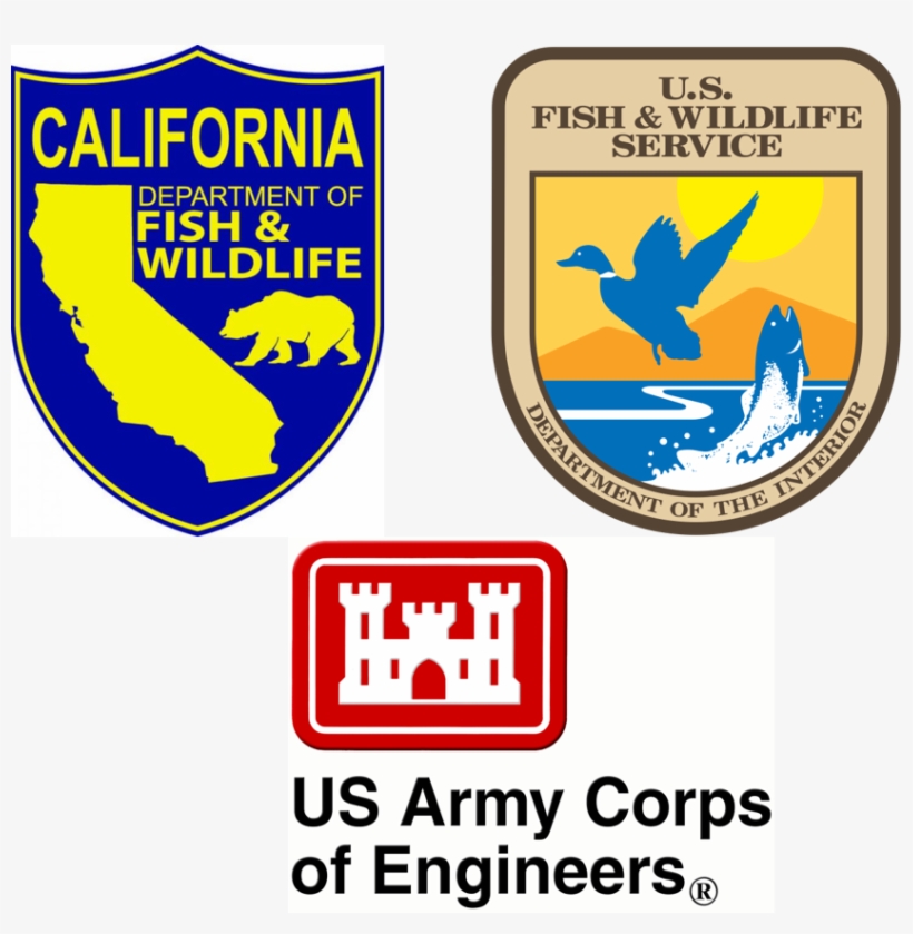 Bia To Honor Local Collaboration Model Between Business - Us Army Corps Of Engineers, transparent png #2198423