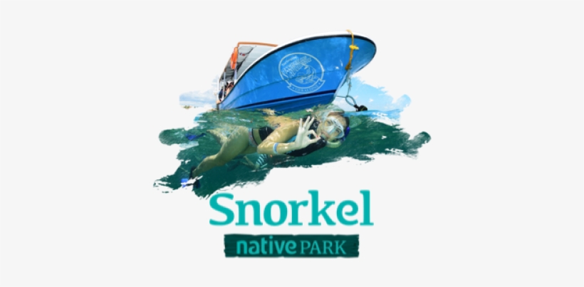 Snorkel Native Park - Flyer, transparent png #2198424