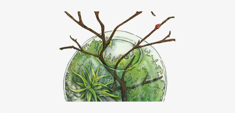 Terrarium - Illustration, transparent png #2199017