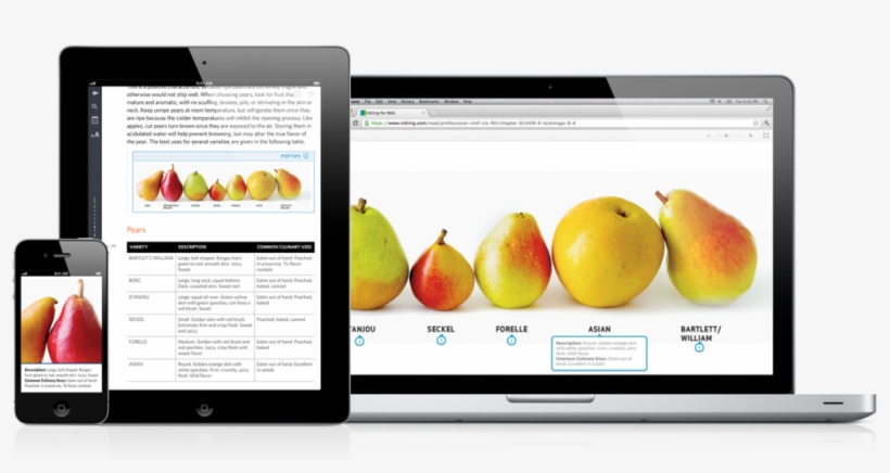 Inkling Hero Culinary, transparent png #2199851