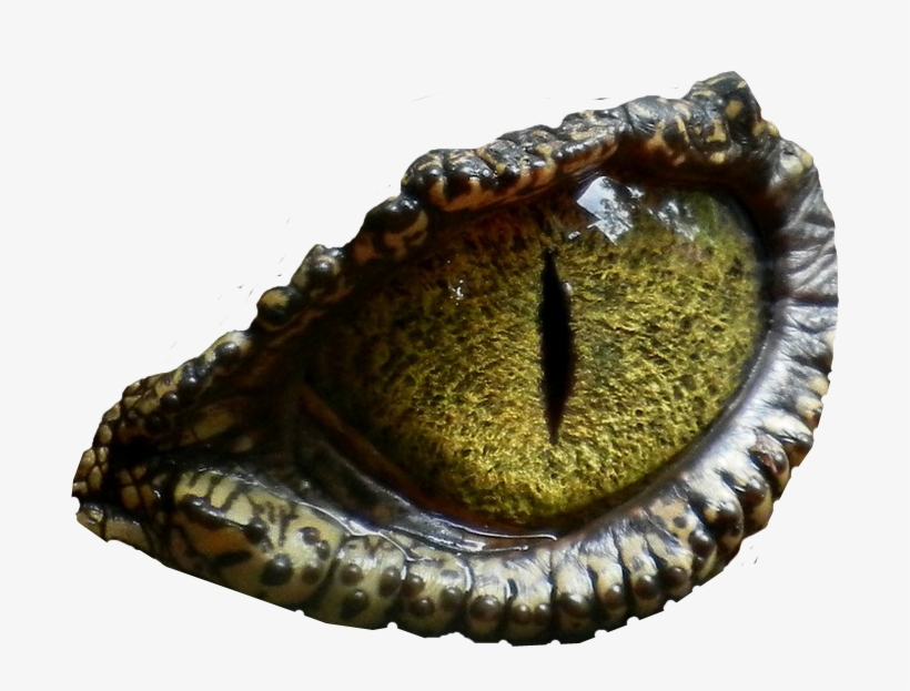 Dinosaur Eye Svg