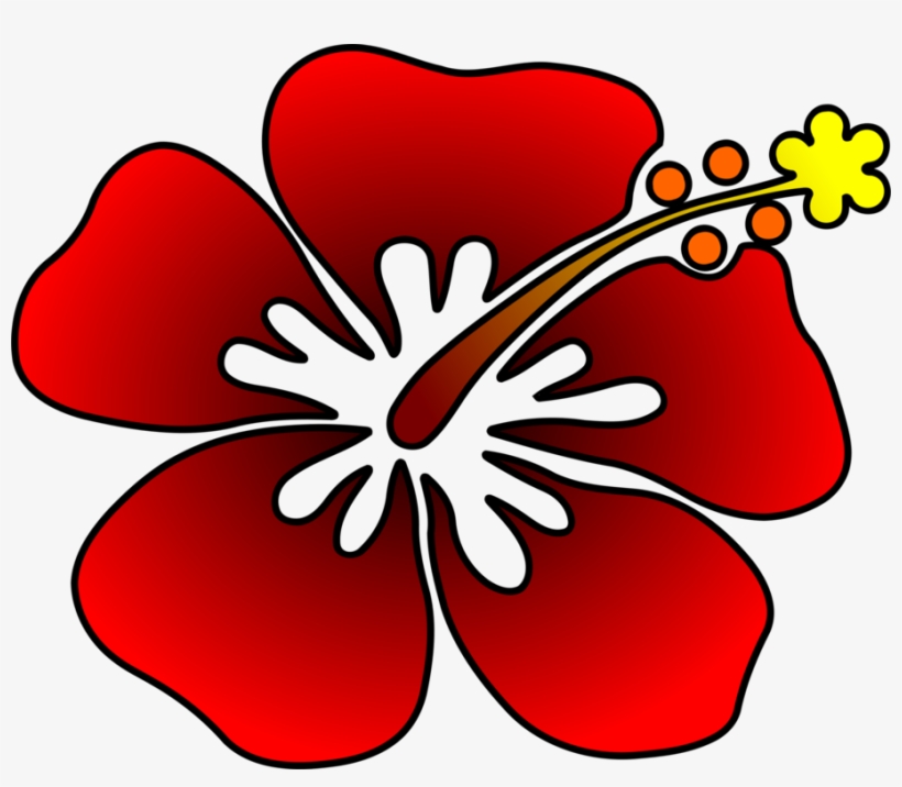 Com Plants Cut Flowers - Flower, transparent png #220120