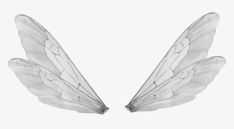 Wings Transparent Bee - Male Fairy Wings Png, transparent png #220166