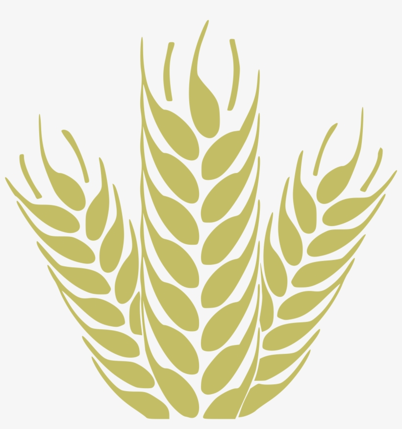 Wheat Vector Png - Wheat Icon Png, transparent png #220598