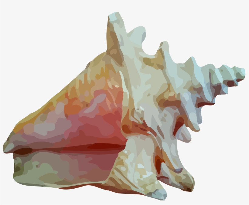 This Free Icons Png Design Of Sea Shell 12, transparent png #220669