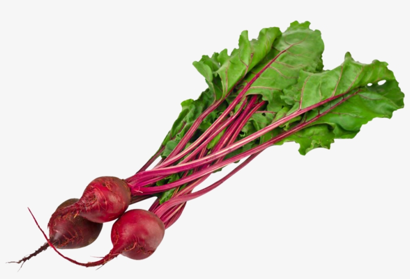 Notes & Recipes-cooking Well Doesn't Mean Cooking, transparent png #221023