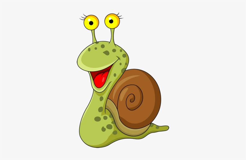 Funny Snail And Turtle Cartoon - Snail Cartoon, transparent png #221362