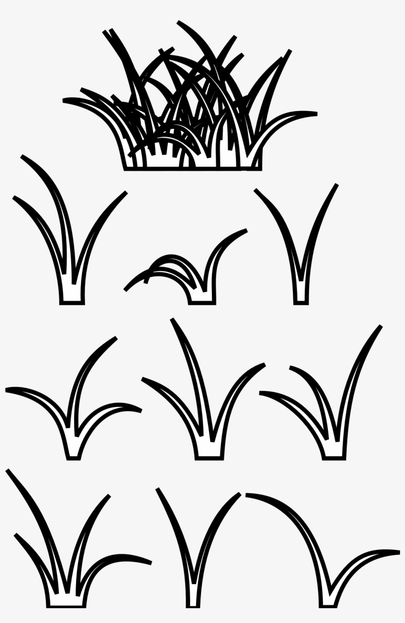 Grass Clipart Clipart - Patch Of Grass Drawing, transparent png #221587