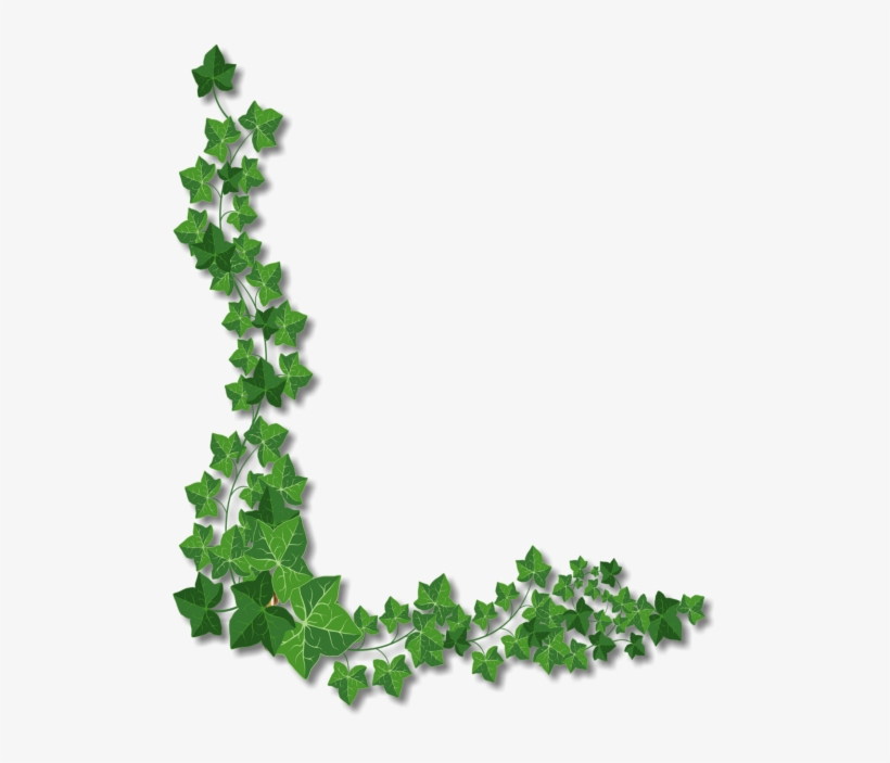 Content On This Page Requires A Newer Version Of Adobe, transparent png #221900