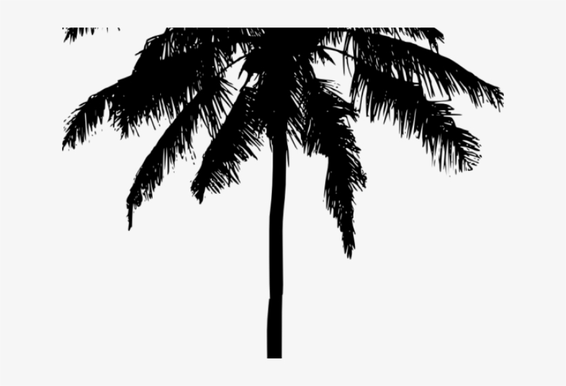 Palm Tree Silhouette Png, transparent png #221902