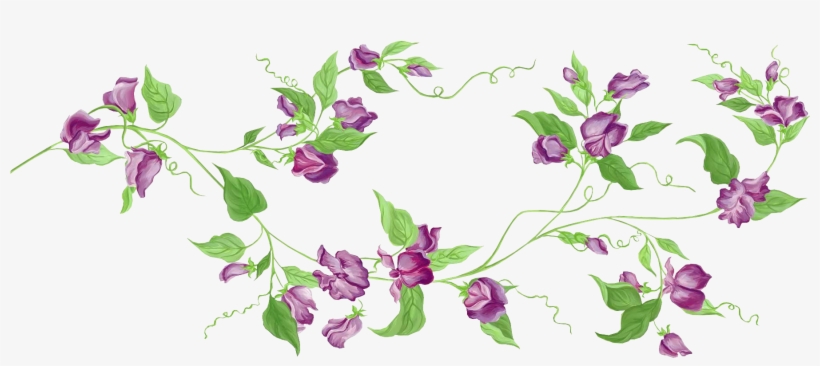 Lavender Clipart Transparent - Flower Vine Transparent Background, transparent png #221904