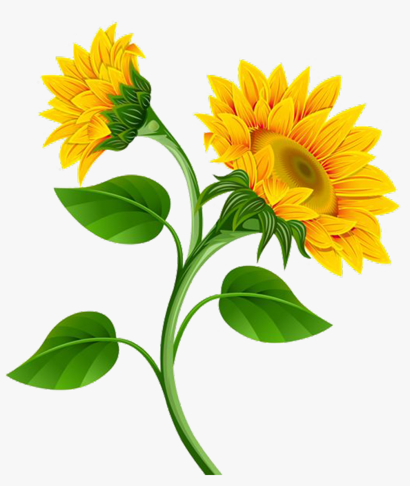 Sunflower Png Photo - Sunflower Clip Art Flowers, transparent png #223412