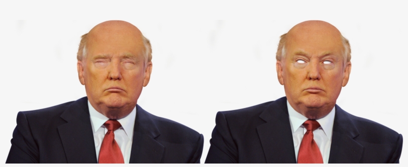 The Body Sprite Is Pretty Terrifying - Donald Trump Pixel Sprite, transparent png #223457