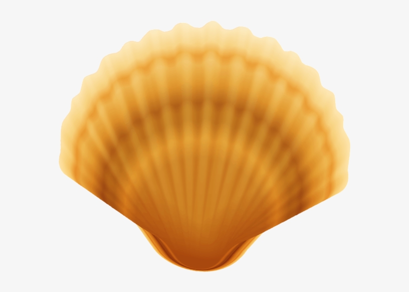 Shell Clipart Clam - Clam Shell Png, transparent png #223522