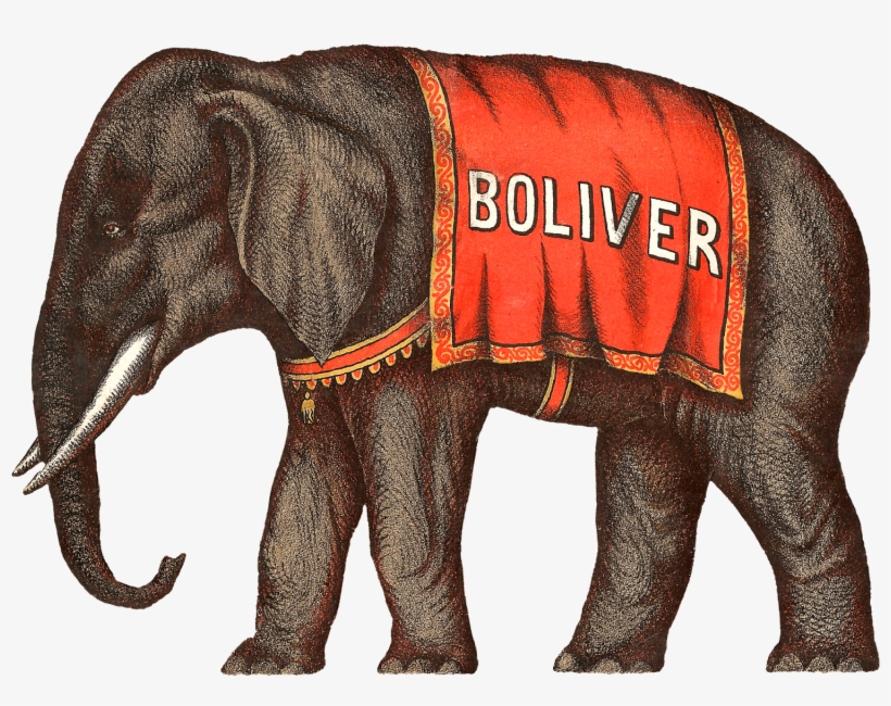 Circus Elephant Victorian - Circus, transparent png #223953