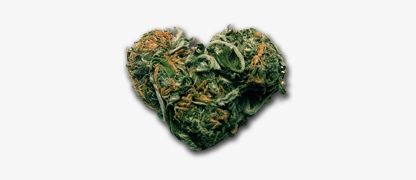 Transparent Blunt Tumblr - Love Bud Poster Wall Print|inspirational Motivational, transparent png #224411