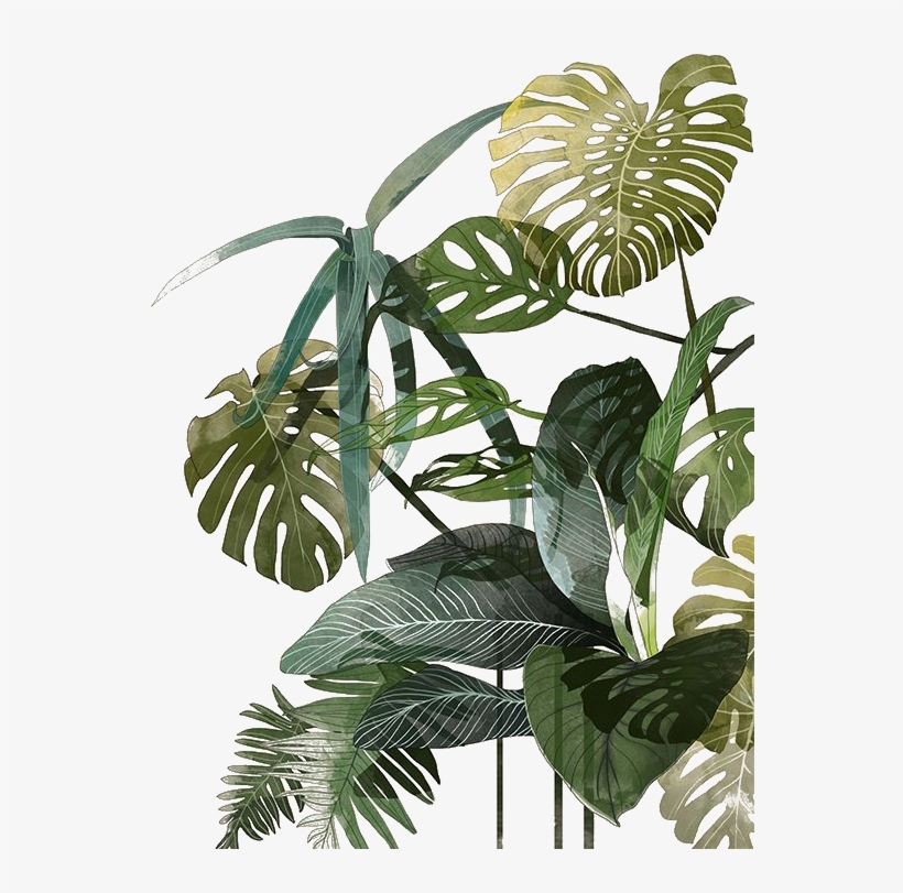 Botanical Illustration Drawing Watercolor Painting - Leaves Illustration Tropical, transparent png #224507