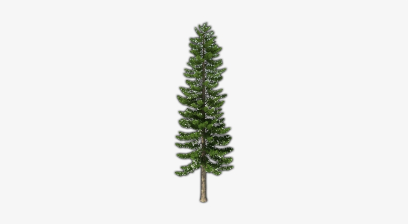 Fir-tree Png File - Pine Trees Transparent Png, transparent png #224509