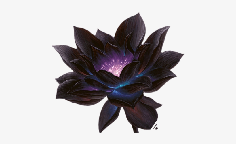 About The Game Picture Black And White Library - Lotus Flower Tattoo Wrist Purple And Black, transparent png #224937