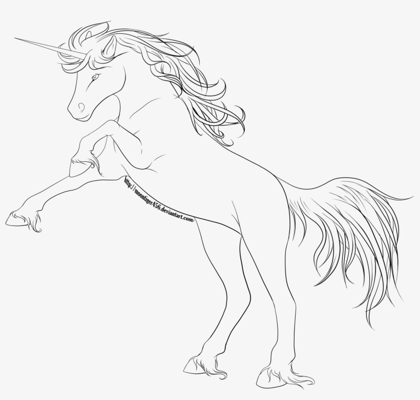 Unicorn Line Drawing At Getdrawings Line Art Free Transparent Png Download Pngkey