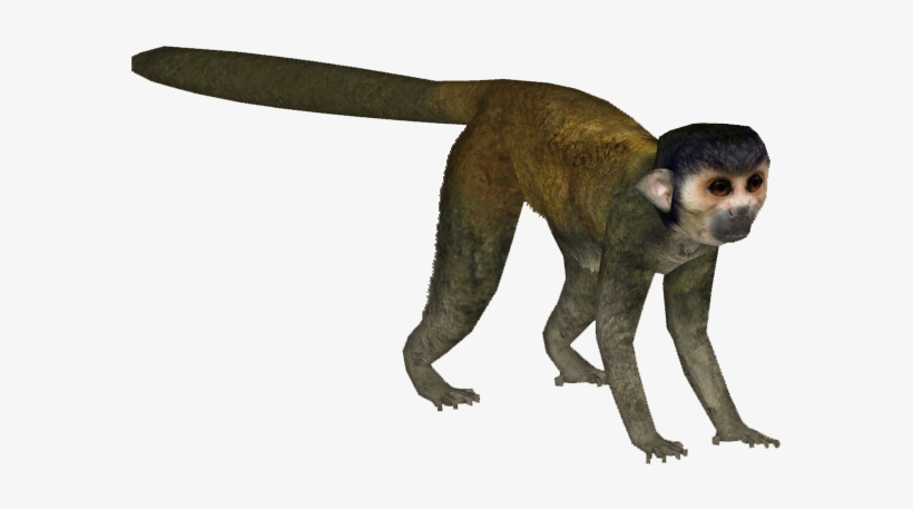 Deerfad - Zt2 Download Library Monkeys, transparent png #225054