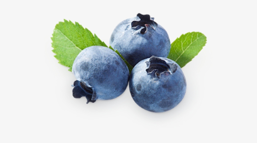 Blueberries Png - Bilberry Extract Powder 1 Lb, transparent png #225140
