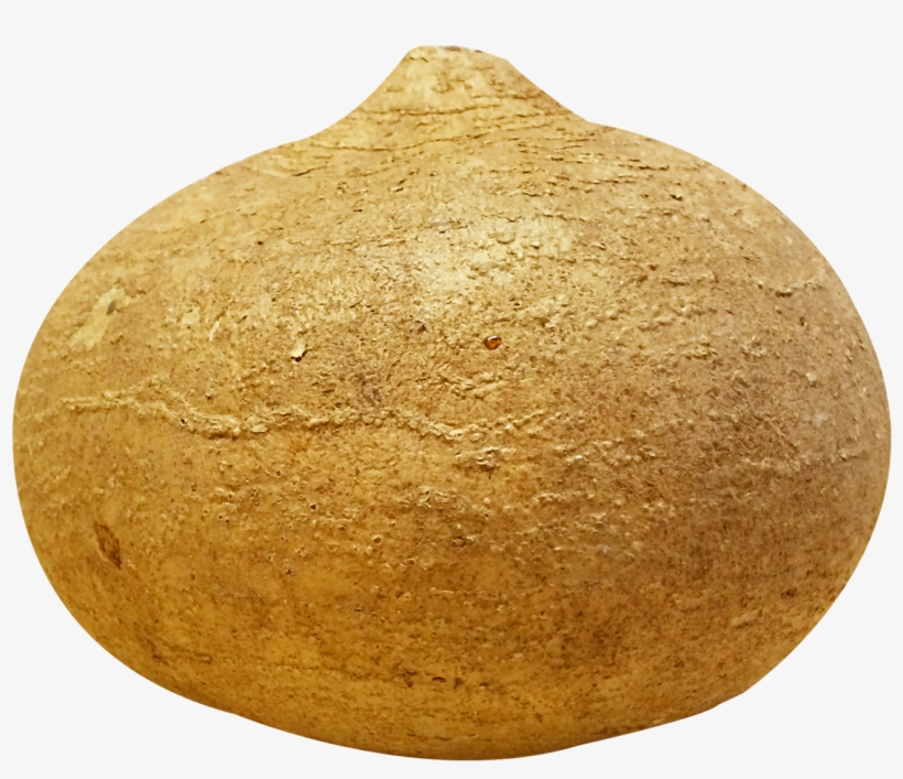 Potato Clipart Yam - Jicama Png, transparent png #225606