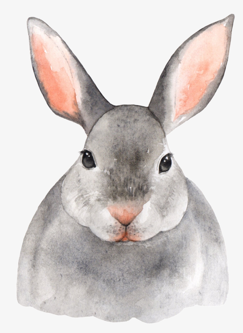 Hand Painted Gray Rabbit Png Transparent - My Big Fat Bullet Journal For Animal Lovers Rabbit, transparent png #225720