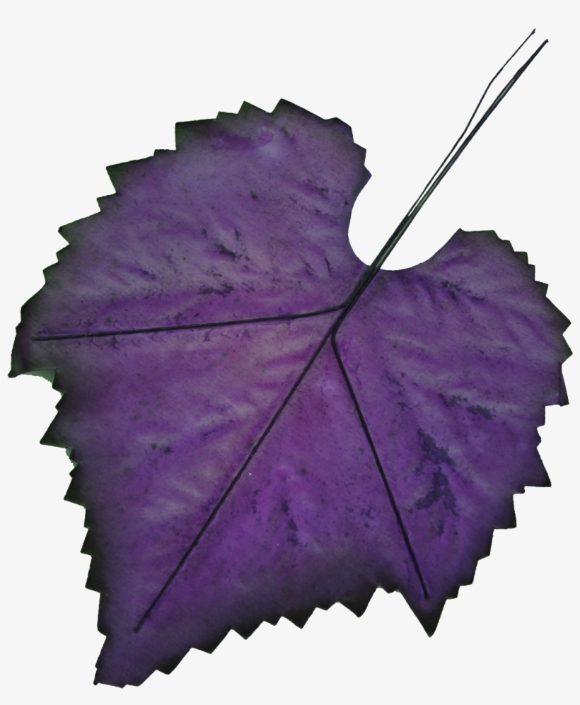 Hand-painted Leaf Png Transparent - Purple Leaf Clipart, transparent png #226640