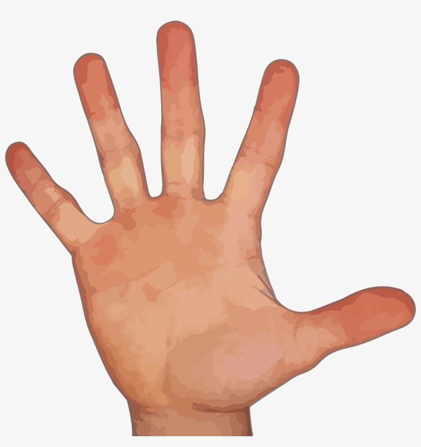 Hand With Five Fingers Png - Fingers Png, transparent png #226725