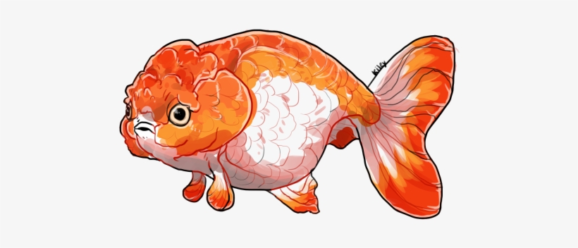 Goldfish Png Clipart Best Web Clipart - Library, transparent png #227126