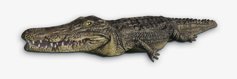 Crocodile Png File - Portable Network Graphics, transparent png #227151