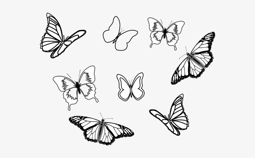 Download How To Set Use Eight Butterflies Svg Vector Free Transparent Png Download Pngkey