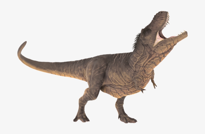 Dinosaur Images Free Group Vector Royalty Free Download - Stegosaurus Rex Dinosaur, transparent png #227544