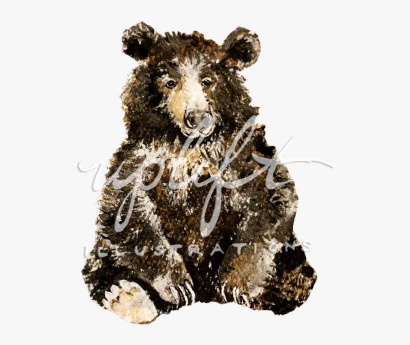 Bear, transparent png #227918