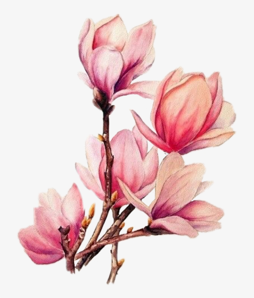 Boquet Bouquet Watercolor Watercolour Flowers Flower - Watercolour Flowers, transparent png #227924