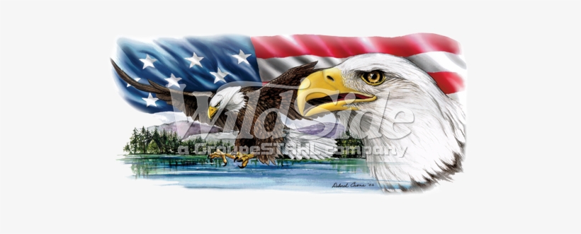 Eagles On Lake With Usa Flag - Lake, transparent png #228059