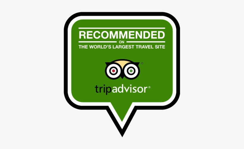 Tripadvisor Recommended Award - Tripadvisor Logo Transparent Recommended, transparent png #228291