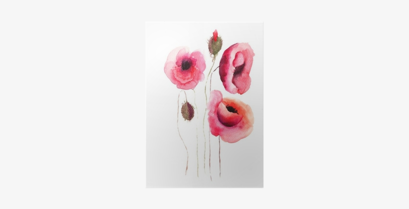 Poppy Flowers, Watercolor Illustration Poster • Pixers® - Watercolor Painting, transparent png #228423