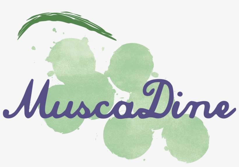 Muscadine Rgbwatercolor Grapes Green - Calligraphy, transparent png #229103