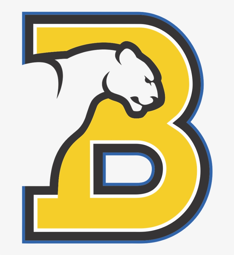 Birmingham Southern College Panthers Logo, Birmingham - Birmingham–southern College, transparent png #229284