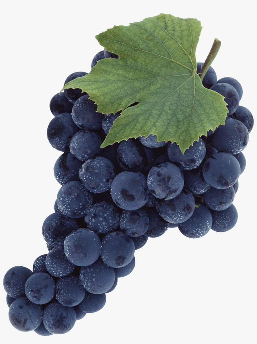 Black Grapes Png Transparent Image - Wine Grapes Png, transparent png #229689
