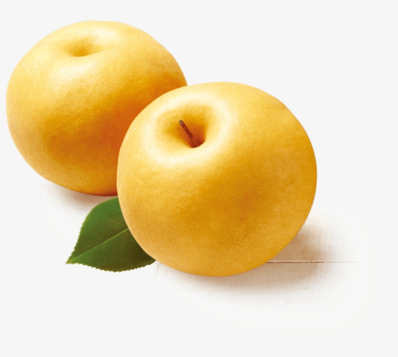 Asian Pear Png, transparent png #229975