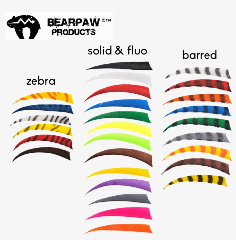 Bearpaw Clipart Bearpaw Bogentandler Gmbh Brand - Bearpaw, transparent png #2200657