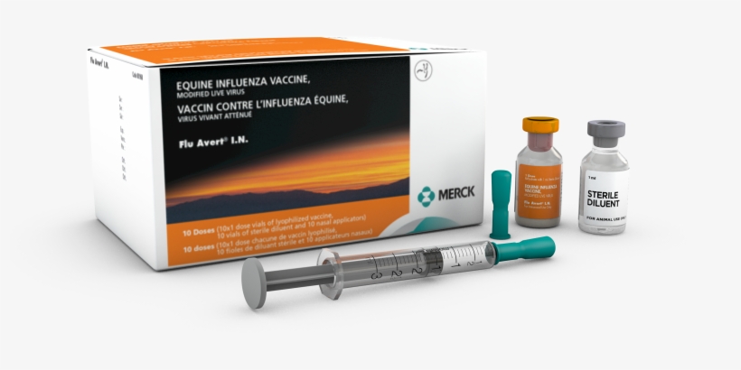 You Have Javascript Disabled - Flu Avert I.n. (flu) Equine Vaccine By Merck 10 X 1, transparent png #2200943