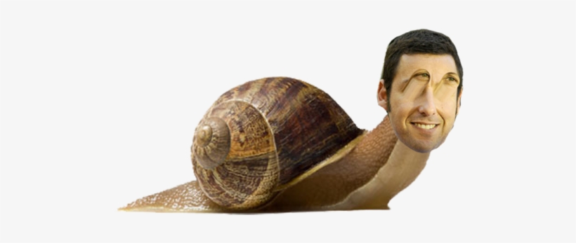 109 Notes Tags - Snail Png, transparent png #2201709